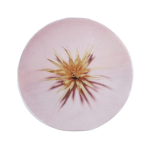 Fiore Plate Pink Yellow Large Set of 2