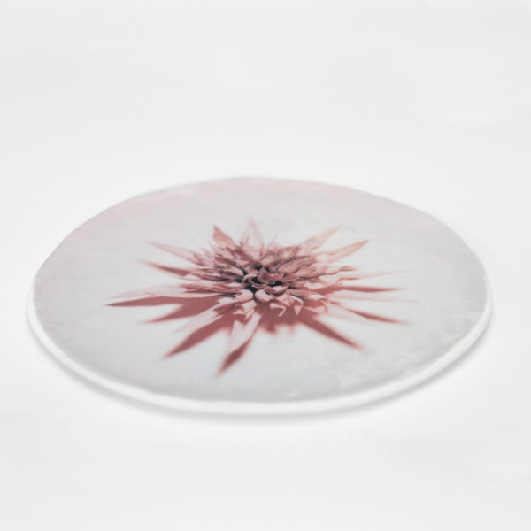 Fiore Plate Rose Pink Large Set of 2