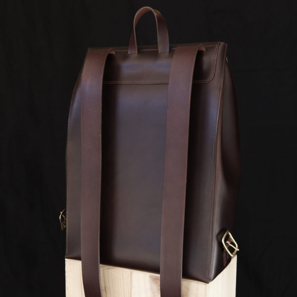 Amicus Backpack