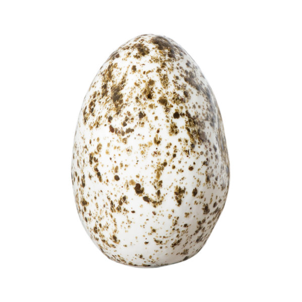 Megaride Volcanic Glazed Egg